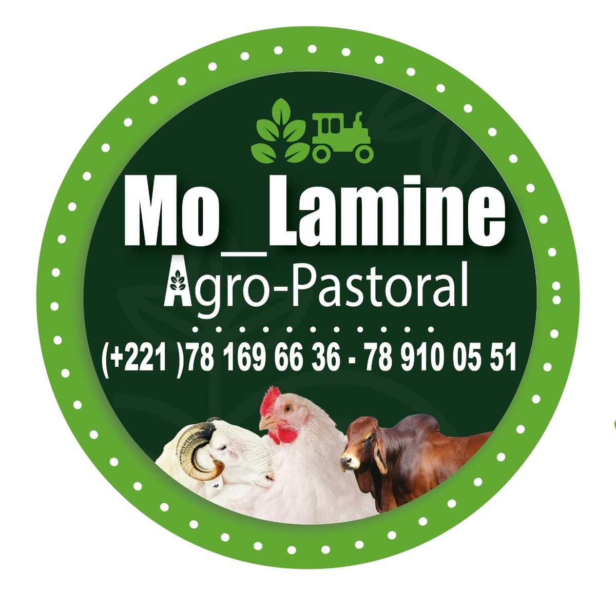 Logo Molamine Agro